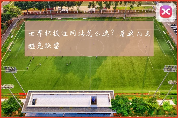 世界杯投注网站怎么选?看这几点避免踩雷