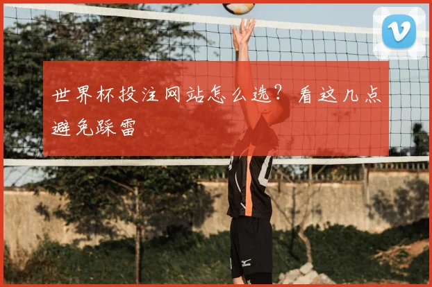 世界杯投注网站怎么选?看这几点避免踩雷