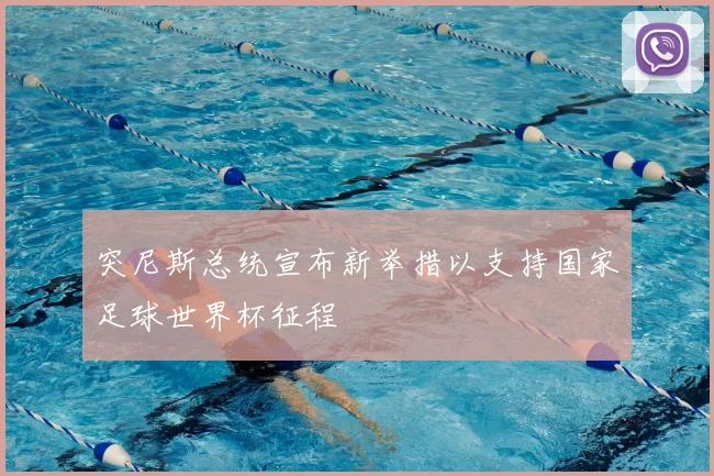 突尼斯总统宣布新举措以支持国家足球世界杯征程