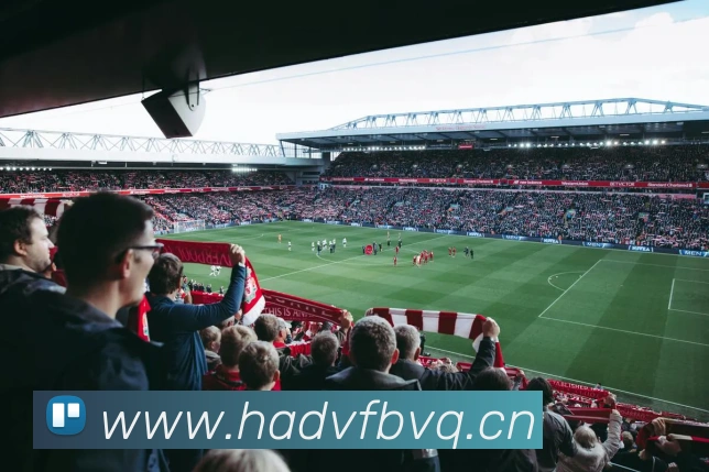 星空网官网免费入口APP 体育赛事宣传图